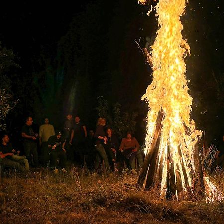 Conacul Bunicilor Hotel Novaci Buitenkant foto