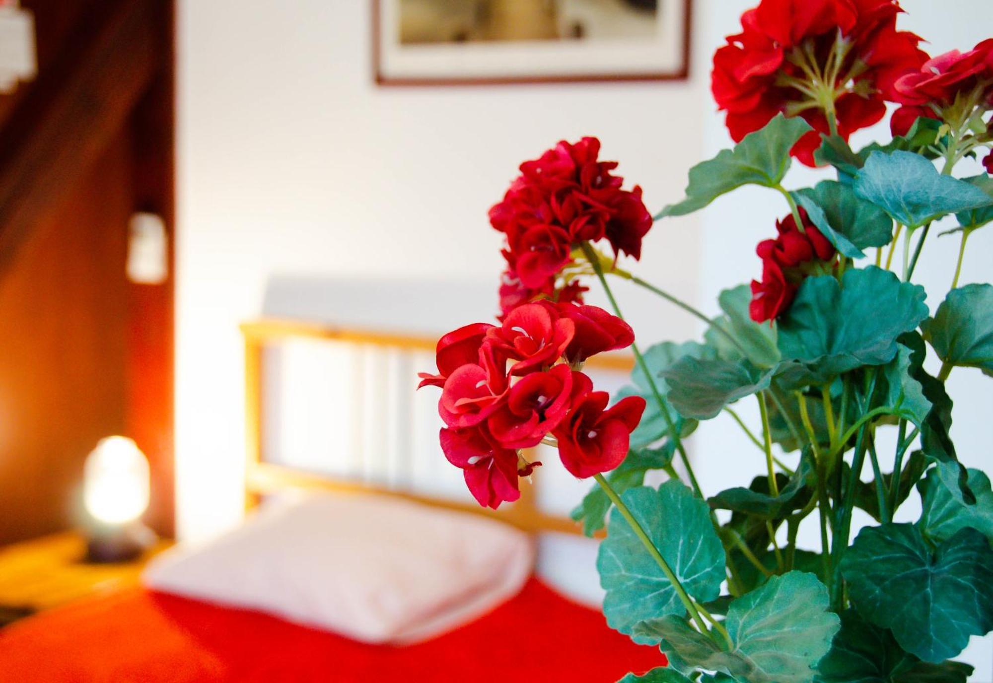 Conacul Bunicilor Hotel Novaci Buitenkant foto