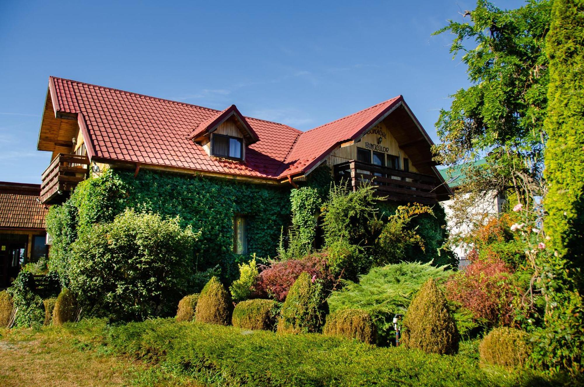 Conacul Bunicilor Hotel Novaci Buitenkant foto